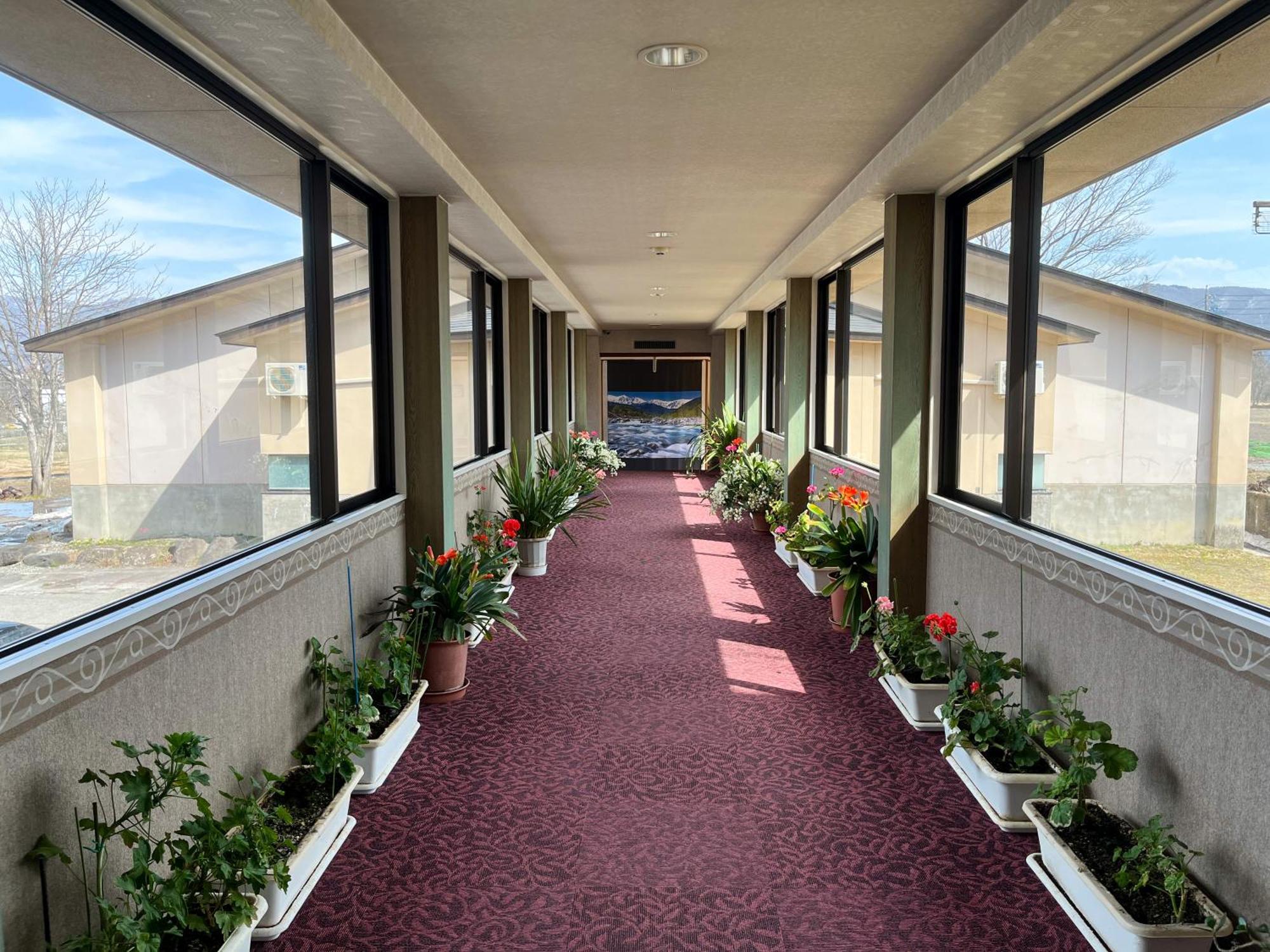 Hotel Goryukan Hakuba Esterno foto